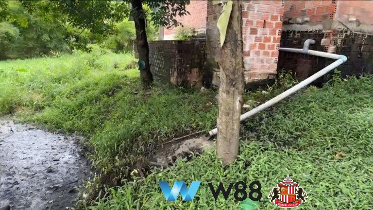 Cược thử miễn phí tại 👉 w88.net/?affiliateid=151404 sunderland đối tác cá cược chính thức ⚽ #bongda #football #casinoonline #bitcoin #crypto #lottery #blackjack #slots #jackpots #esports #baccarat #poker #sports #game #premierleague #laliga #bundesliga #seriea #championsleague #europaleague #eth #btc #bingo #realmadrid #china #indonesia #india #campuchia #malaysia #korea 🔥i…