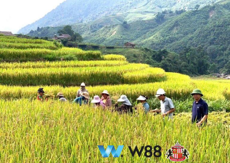 Cược thử miễn phí tại 👉 w88.net/?affiliateid=151404 sunderland đối tác cá cược chính thức ⚽ #bongda #football #casinoonline #bitcoin #crypto #lottery #blackjack #slots #jackpots #esports #baccarat #poker #sports #game #premierleague #laliga #bundesliga #seriea #championsleague #europaleague #eth #btc #bingo #realmadrid #china #indonesia #india #campuchia #malaysia #korea 🔥ù…