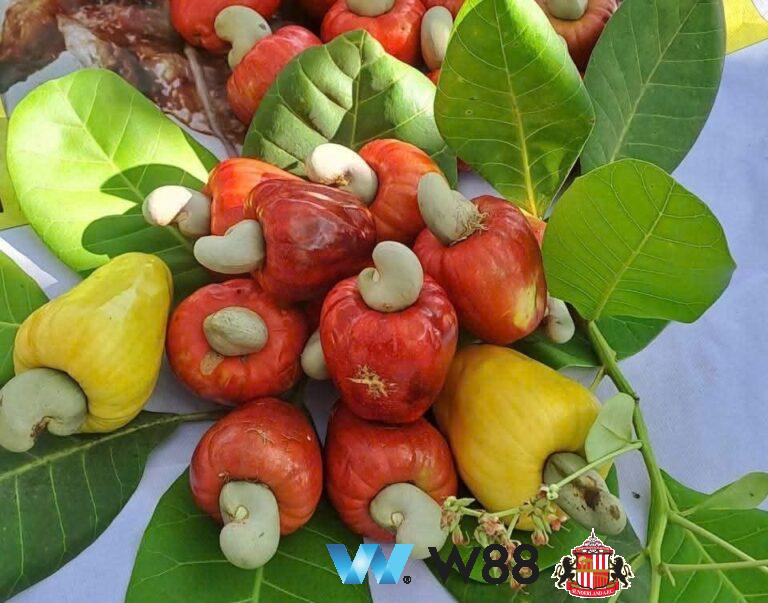 Tặng 200k cược thử miễn phí 👉 tinyurl.com/w88official đối tác tài trợ chính thức giải đấu ngoại hạng anh ⚽ #bongda #football #casinoonline #bitcoin #crypto #lottery #blackjack #slots #jackpots #esports #baccarat #poker #sports #game #premierleague #laliga #bundesliga #seriea #championsleague #europaleague #eth #btc #bingo #realmadrid #china #indonesia #india #campuchia #malaysia #korea 🔥o…
