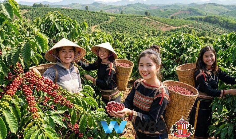 Cược thử miễn phí tại 👉 w88.net/?affiliateid=151404 sunderland đối tác cá cược chính thức ⚽ #bongda #football #casinoonline #bitcoin #crypto #lottery #blackjack #slots #jackpots #esports #baccarat #poker #sports #game #premierleague #laliga #bundesliga #seriea #championsleague #europaleague #eth #btc #bingo #realmadrid #china #indonesia #india #campuchia #malaysia #korea 🔥i…