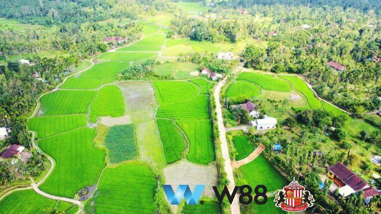 Cược thử miễn phí tại 👉 w88.net/?affiliateid=151404 sunderland đối tác cá cược chính thức ⚽ #bongda #football #casinoonline #bitcoin #crypto #lottery #blackjack #slots #jackpots #esports #baccarat #poker #sports #game #premierleague #laliga #bundesliga #seriea #championsleague #europaleague #eth #btc #bingo #realmadrid #china #indonesia #india #campuchia #malaysia #korea 🔥ộ…