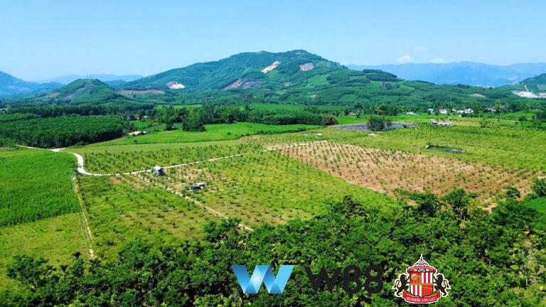 Cược thử miễn phí tại 👉 w88.net/?affiliateid=151404 sunderland đối tác cá cược chính thức ⚽ #bongda #football #casinoonline #bitcoin #crypto #lottery #blackjack #slots #jackpots #esports #baccarat #poker #sports #game #premierleague #laliga #bundesliga #seriea #championsleague #europaleague #eth #btc #bingo #realmadrid #china #indonesia #india #campuchia #malaysia #korea 🔥ế…