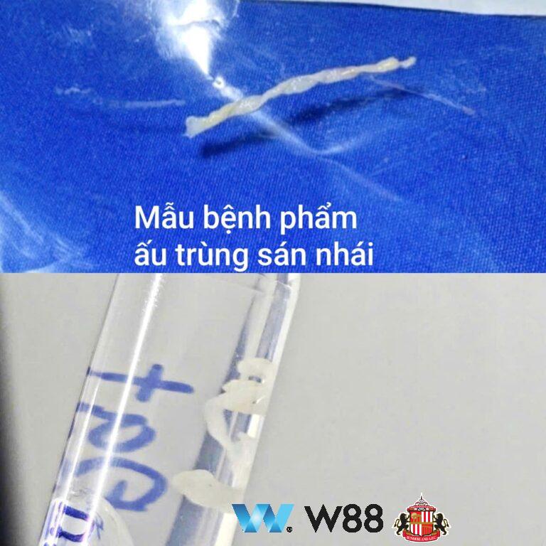 Cược thử miễn phí tại 👉 w88.net/?affiliateid=151404 sunderland đối tác cá cược chính thức ⚽ #bongda #football #casinoonline #bitcoin #crypto #lottery #blackjack #slots #jackpots #esports #baccarat #poker #sports #game #premierleague #laliga #bundesliga #seriea #championsleague #europaleague #eth #btc #bingo #realmadrid #china #indonesia #india #campuchia #malaysia #korea 🔥í…