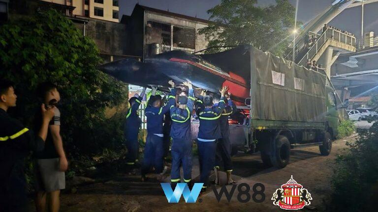 Cược thử miễn phí tại 👉 tinyurl.com/w88vietfc đối tác tài trợ chính thức ngoại hạng anh ⚽ #bongdavietnam #football #casinoonline #bitcoin #crypto #lottery #blackjack #slots #jackpots #esports #baccarat #poker #sports #game #premierleague #laliga #bundesliga #seriea #championsleague #europaleague #eth #btc #bingo #realmadrid #china #indonesia #india #campuchia #malaysia #korea 🔥ược thử miễn phí tại 👉 tinyurl.com/w88vietfc đối tác tài trợ chính thức ngoại hạng anh ⚽ #bongdavietnam #football #casinoonline #bitcoin #crypto #lottery #blackjack #slots #jackpots #esports #baccarat #poker #sports #game #premierleague #laliga #bundesliga #seriea #championsleague #europaleague #eth #btc #bingo #realmadrid #china #indonesia #india #campuchia #malaysia #korea 🔥ì…