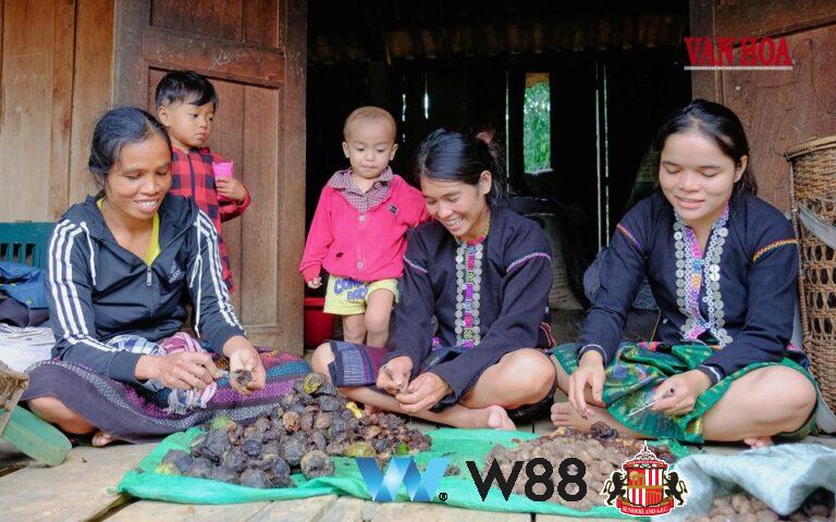 Cược thử miễn phí tại 👉 tinyurl.com/w88vnfc đối tác tài trợ chính thức ngoại hạng anh ⚽ #bongdavietnam #football #casinoonline #bitcoin #crypto #lottery #blackjack #slots #jackpots #esports #baccarat #poker #sports #game #premierleague #laliga #bundesliga #seriea #championsleague #europaleague #eth #btc #bingo #realmadrid #china #indonesia #india #campuchia #malaysia #korea 🔥h…