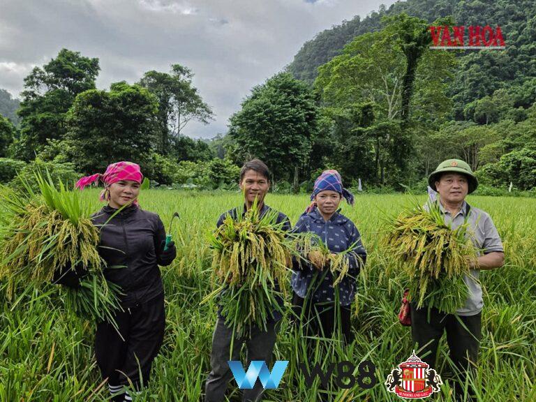 Cược thử miễn phí tại 👉 tinyurl.com/w88vnfc đối tác tài trợ chính thức ngoại hạng anh ⚽ #bongdavietnam #football #casinoonline #bitcoin #crypto #lottery #blackjack #slots #jackpots #esports #baccarat #poker #sports #game #premierleague #laliga #bundesliga #seriea #championsleague #europaleague #eth #btc #bingo #realmadrid #china #indonesia #india #campuchia #malaysia #korea 🔥ù…