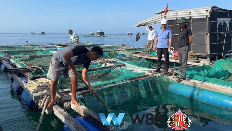Cược thử miễn phí tại 👉 tinyurl.com/w88vietfc đối tác tài trợ chính thức ngoại hạng anh ⚽ #bongdavietnam #football #casinoonline #bitcoin #crypto #lottery #blackjack #slots #jackpots #esports #baccarat #poker #sports #game #premierleague #laliga #bundesliga #seriea #championsleague #europaleague #eth #btc #bingo #realmadrid #china #indonesia #india #campuchia #malaysia #korea 🔥ý…