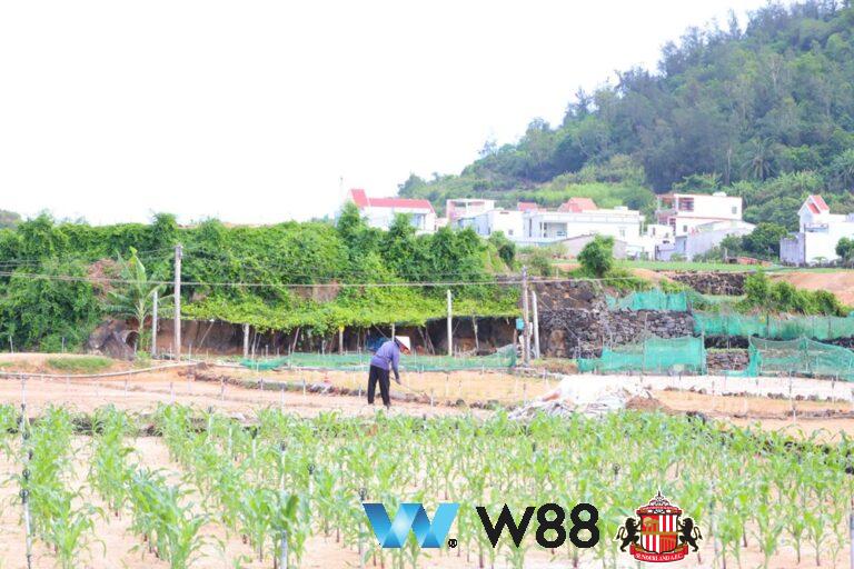 Cược thử miễn phí tại 👉 tinyurl.com/w88mn đối tác tài trợ chính thức ngoại hạng anh ⚽ #bongdavietnam #football #casinoonline #bitcoin #crypto #lottery #blackjack #slots #jackpots #esports #baccarat #poker #sports #game #premierleague #laliga #bundesliga #seriea #championsleague #europaleague #eth #btc #bingo #realmadrid #china #indonesia #india #campuchia #malaysia #korea 🔥ý…