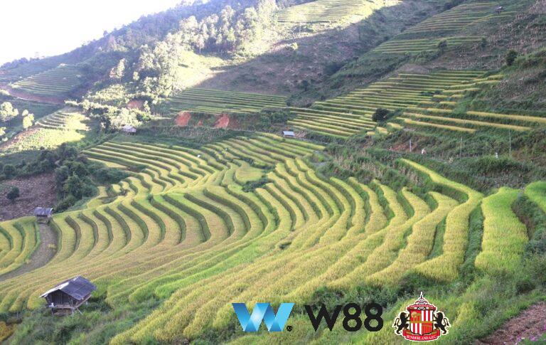 Cược thử miễn phí tại 👉 tinyurl.com/w88mn đối tác tài trợ chính thức ngoại hạng anh ⚽ #bongdavietnam #football #casinoonline #bitcoin #crypto #lottery #blackjack #slots #jackpots #esports #baccarat #poker #sports #game #premierleague #laliga #bundesliga #seriea #championsleague #europaleague #eth #btc #bingo #realmadrid #china #indonesia #india #campuchia #malaysia #korea 🔥h…