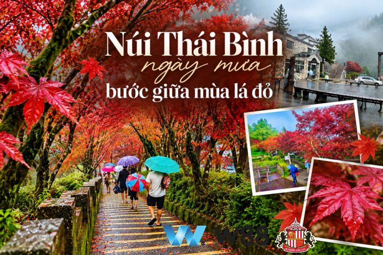 Cược thử miễn phí tại 👉 tinyurl.com/w88vietfc đối tác tài trợ chính thức ngoại hạng anh ⚽ #bongdavietnam #football #casinoonline #bitcoin #crypto #lottery #blackjack #slots #jackpots #esports #baccarat #poker #sports #game #premierleague #laliga #bundesliga #seriea #championsleague #europaleague #eth #btc #bingo #realmadrid #china #indonesia #india #campuchia #malaysia #korea 🔥ú…