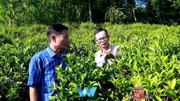 Cược thử miễn phí tại 👉 tinyurl.com/w88vietfc đối tác tài trợ chính thức ngoại hạng anh ⚽ #bongdavietnam #football #casinoonline #bitcoin #crypto #lottery #blackjack #slots #jackpots #esports #baccarat #poker #sports #game #premierleague #laliga #bundesliga #seriea #championsleague #europaleague #eth #btc #bingo #realmadrid #china #indonesia #india #campuchia #malaysia #korea 🔥h…