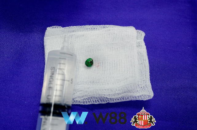 Cược thử miễn phí tại 👉 tinyurl.com/w88vietfc đối tác tài trợ chính thức ngoại hạng anh ⚽ #bongdavietnam #football #casinoonline #bitcoin #crypto #lottery #blackjack #slots #jackpots #esports #baccarat #poker #sports #game #premierleague #laliga #bundesliga #seriea #championsleague #europaleague #eth #btc #bingo #realmadrid #china #indonesia #india #campuchia #malaysia #korea 🔥ị…