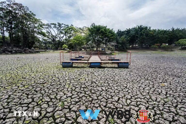 Cược thử miễn phí tại 👉 tinyurl.com/w88vietfc đối tác tài trợ chính thức ngoại hạng anh ⚽ #bongdavietnam #football #casinoonline #bitcoin #crypto #lottery #blackjack #slots #jackpots #esports #baccarat #poker #sports #game #premierleague #laliga #bundesliga #seriea #championsleague #europaleague #eth #btc #bingo #realmadrid #china #indonesia #india #campuchia #malaysia #korea 🔥i…
