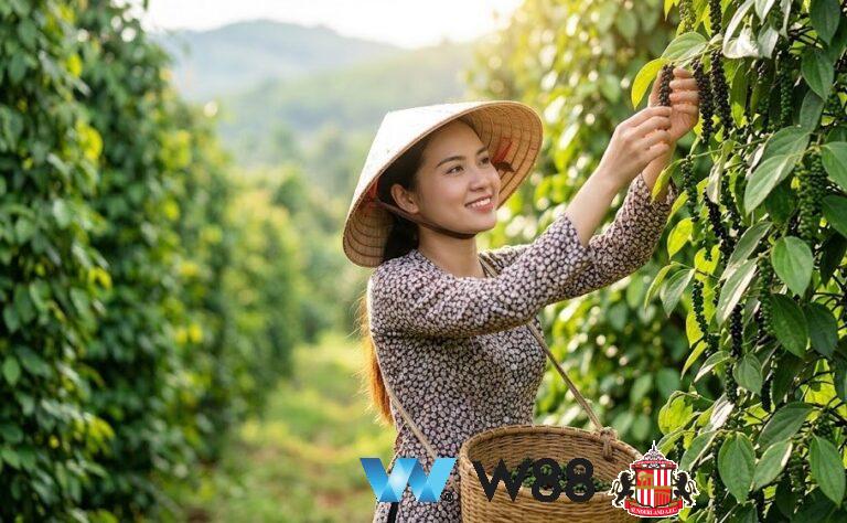Cược thử miễn phí tại 👉 tinyurl.com/w88vietfc đối tác tài trợ chính thức ngoại hạng anh ⚽ #bongdavietnam #football #casinoonline #bitcoin #crypto #lottery #blackjack #slots #jackpots #esports #baccarat #poker #sports #game #premierleague #laliga #bundesliga #seriea #championsleague #europaleague #eth #btc #bingo #realmadrid #china #indonesia #india #campuchia #malaysia #korea 🔥ược thử miễn phí tại 👉 tinyurl.com/w88vietfc đối tác tài trợ chính thức ngoại hạng anh ⚽ #bongdavietnam #football #casinoonline #bitcoin #crypto #lottery #blackjack #slots #jackpots #esports #baccarat #poker #sports #game #premierleague #laliga #bundesliga #seriea #championsleague #europaleague #eth #btc #bingo #realmadrid #china #indonesia #india #campuchia #malaysia #korea 🔥â…