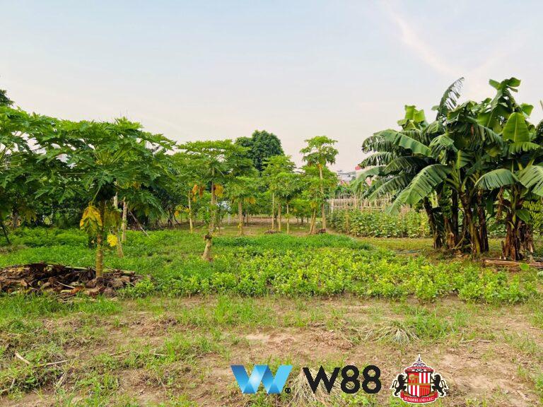Cược thử miễn phí tại 👉 tinyurl.com/w88vnfc đối tác tài trợ chính thức ngoại hạng anh ⚽ #bongdavietnam #football #casinoonline #bitcoin #crypto #lottery #blackjack #slots #jackpots #esports #baccarat #poker #sports #game #premierleague #laliga #bundesliga #seriea #championsleague #europaleague #eth #btc #bingo #realmadrid #china #indonesia #india #campuchia #malaysia #korea 🔥h…