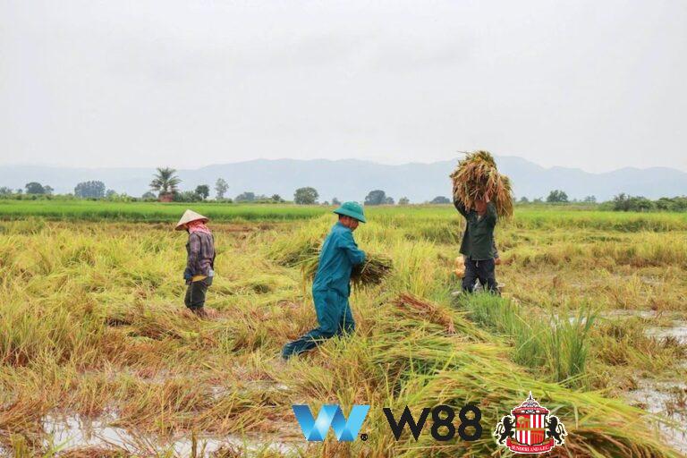 Cược thử miễn phí tại 👉 tinyurl.com/w88vietfc đối tác tài trợ chính thức ngoại hạng anh ⚽ #bongdavietnam #football #casinoonline #bitcoin #crypto #lottery #blackjack #slots #jackpots #esports #baccarat #poker #sports #game #premierleague #laliga #bundesliga #seriea #championsleague #europaleague #eth #btc #bingo #realmadrid #china #indonesia #india #campuchia #malaysia #korea 🔥h…