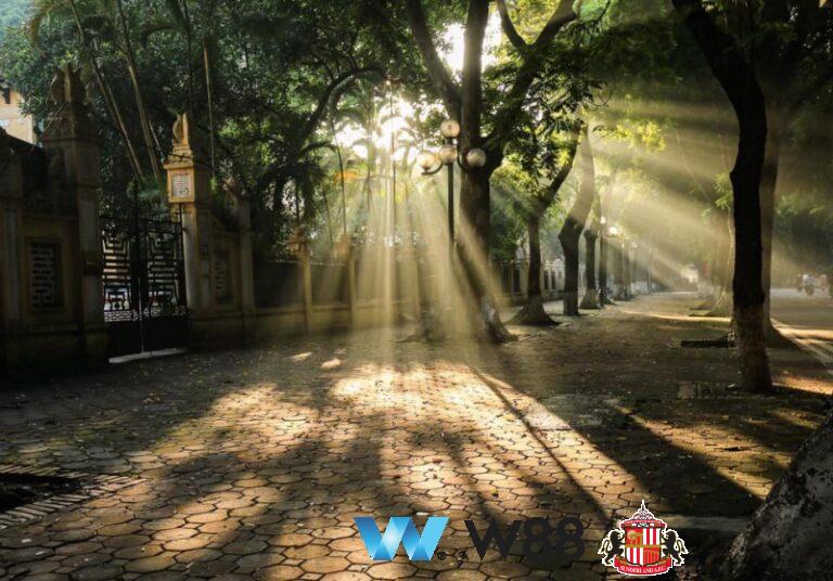 Cược thử miễn phí tại 👉 tinyurl.com/w88vietfc đối tác tài trợ chính thức ngoại hạng anh ⚽ #bongdavietnam #football #casinoonline #bitcoin #crypto #lottery #blackjack #slots #jackpots #esports #baccarat #poker #sports #game #premierleague #laliga #bundesliga #seriea #championsleague #europaleague #eth #btc #bingo #realmadrid #china #indonesia #india #campuchia #malaysia #korea 🔥ắ…