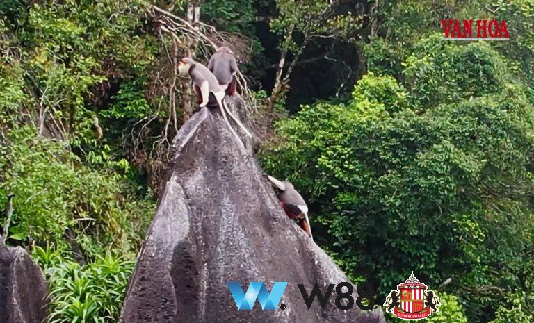 Cược thử miễn phí 👉 tinyurl.com/w88viet đối tác tài trợ chính thức ngoại hạng anh ⚽ #bongda #football #casinoonline #bitcoin #crypto #lottery #blackjack #slots #jackpots #esports #baccarat #poker #sports #game #premierleague #laliga #bundesliga #seriea #championsleague #europaleague #eth #btc #bingo #realmadrid #china #indonesia #india #campuchia #malaysia #korea 🔥h…